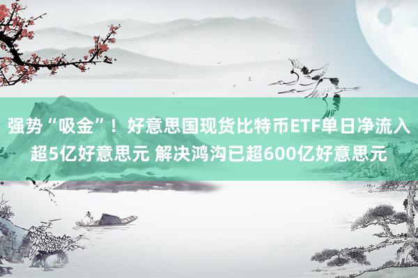 强势“吸金”！好意思国现货比特币ETF单日净流入超5亿好意思元 解决鸿沟已超600亿好意思元