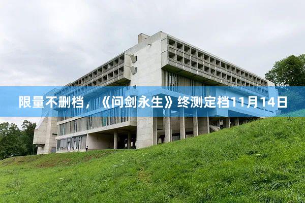 限量不删档，《问剑永生》终测定档11月14日