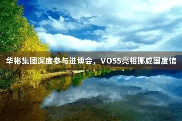 华彬集团深度参与进博会，VOSS亮相挪威国度馆